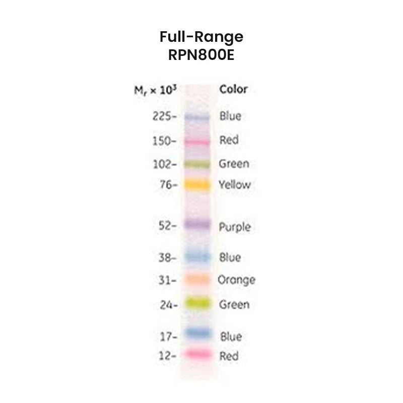 Marcadores de peso molecular Amersham ECL Rainbow Marker - Full range Mr 12 000 - 225 000